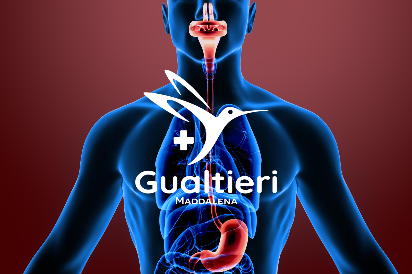 Formation week-end 1 : Décodage et levée des barrières énergétiques